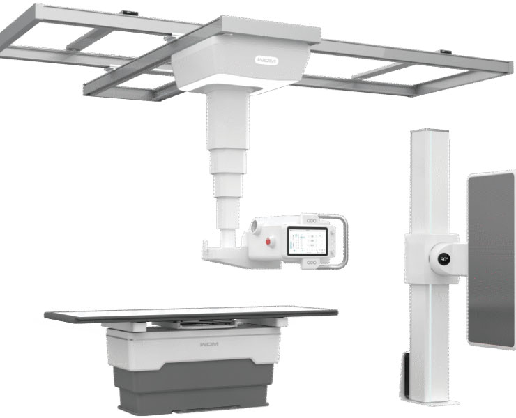 RX-cu-prindere-pe-tavan-rsz-740x600