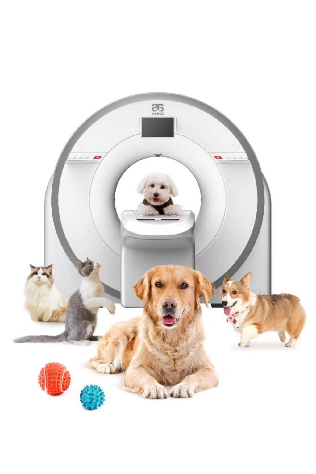 echipament-imagistica-veterinara-ct