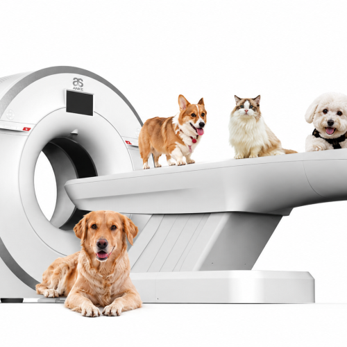 CT-ANATOM-FIT-C201-ȘI-C210-CU-INTERFAȚĂ-VETERINARĂ-echipamente-imagistica-veterinara-pentru-clinici-si-spitale-veterinare