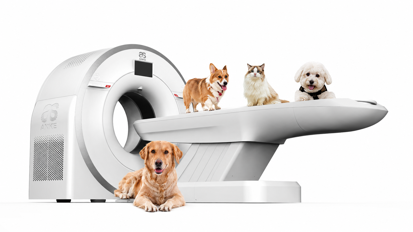 CT-ANATOM-FIT-C201-ȘI-C210-CU-INTERFAȚĂ-VETERINARĂ-echipamente-imagistica-veterinara-pentru-clinici-si-spitale-veterinare